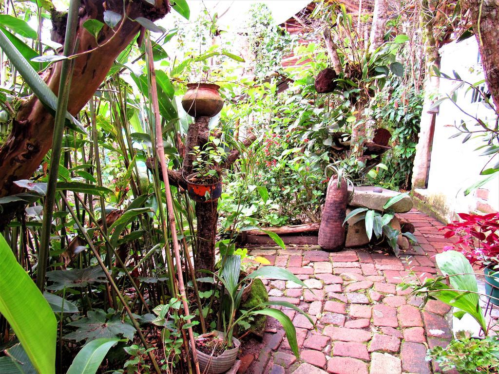 Hotel Casa Tarzan San Agustin Luaran gambar